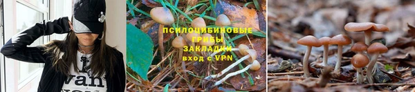 ALPHA PVP Армянск