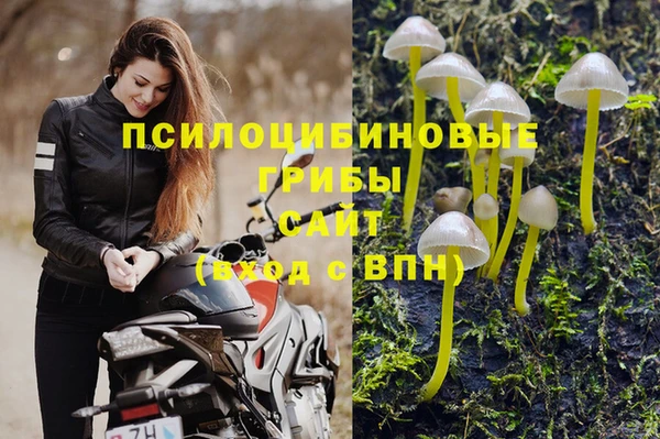 ALPHA PVP Армянск