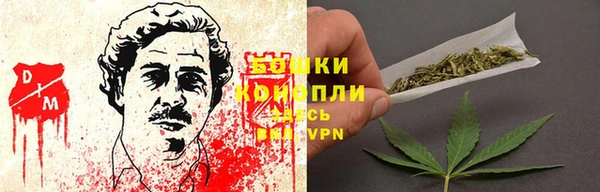 дурь Арсеньев