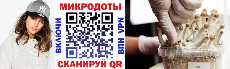 наркота  Белозерск  Галлюциногенные грибы мухоморы 